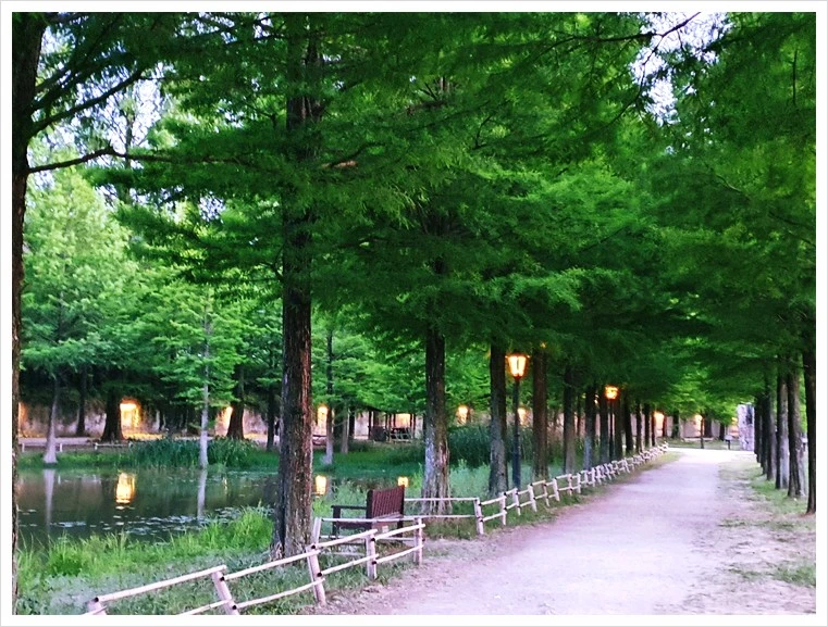 KakaoTalk_20220804_204506092_01.jpg?type=w1