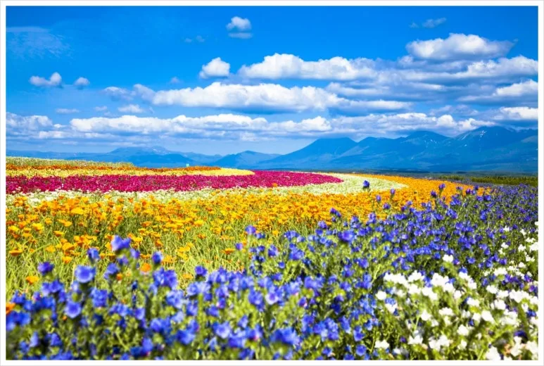 SE-aa9cf2f8-fd75-42dc-b81c-53f9cc1b0c7a.jpg?type=w773