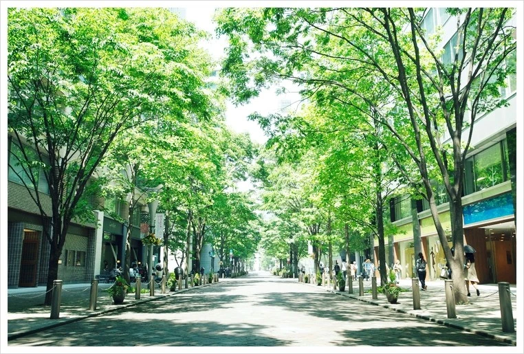 %EB%A7%88%EB%A3%A8%EB%85%B8%EC%9A%B0%EC%B9%98_%EB%82%98%EC%B9%B4%EB%8F%84%EB%A6%AC2.jpg?type=w1