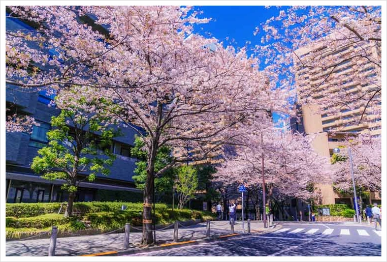 untitled77.png?type=w1