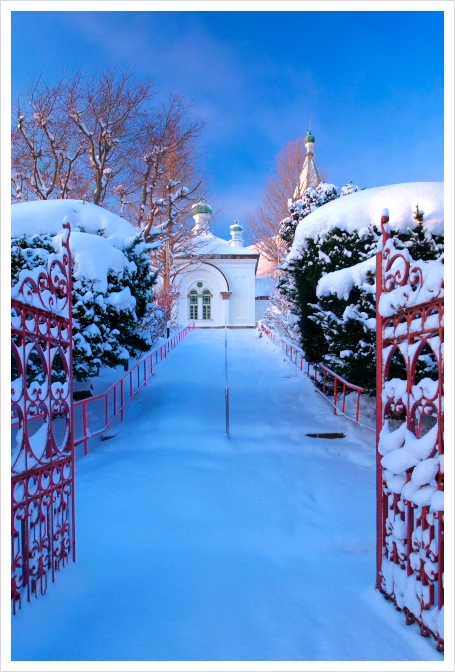 SE-5e5547ff-ae30-481d-bbe6-6f5373b828fd.jpg?type=w1