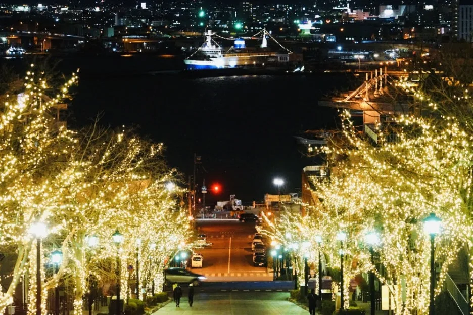 36_101_m.jpg?type=w1