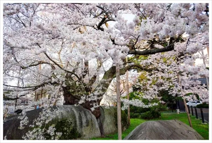 ishiware01.jpg?type=w2