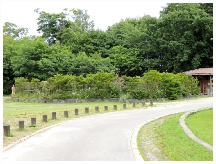 DSCN3828.JPG?type=w2