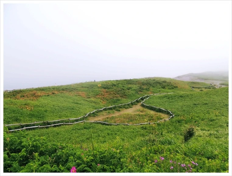 DSCN3667.JPG?type=w1