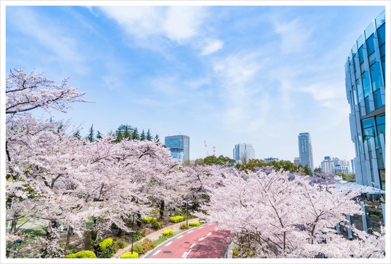 untitled56.png?type=w1