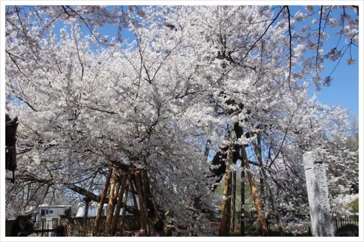 03_ishito.jpg?type=w2