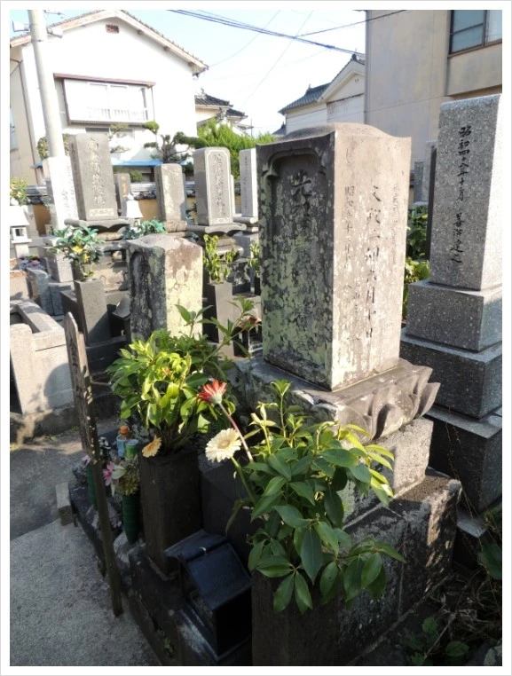 DSCN9737.JPG?type=w2