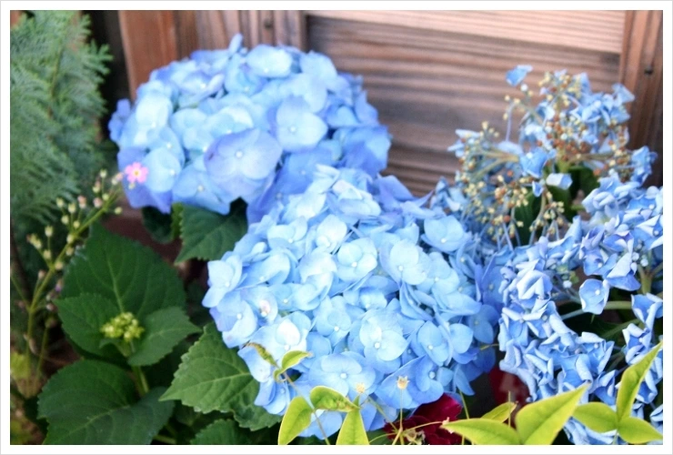 img_7640_fall339.jpg?type=w1