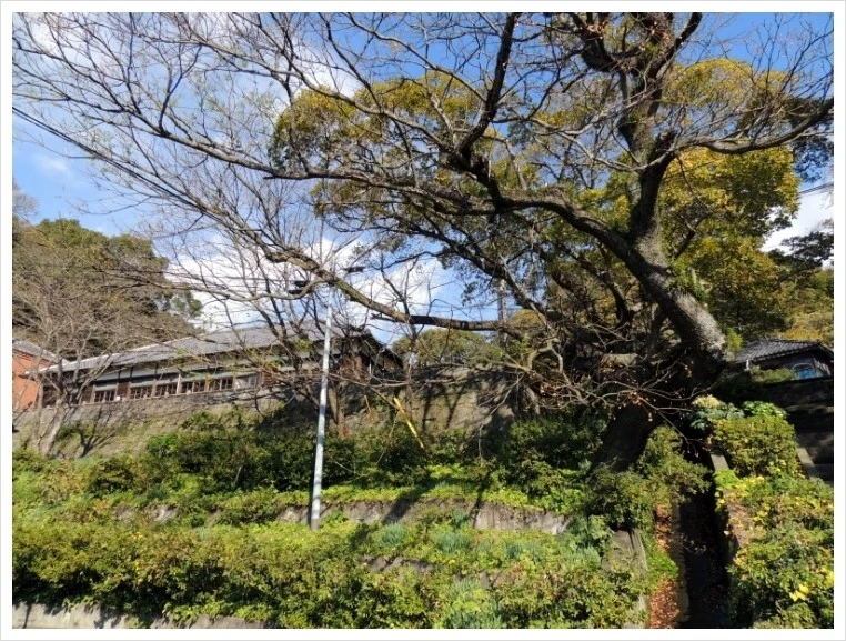 DSCN6862.JPG?type=w1