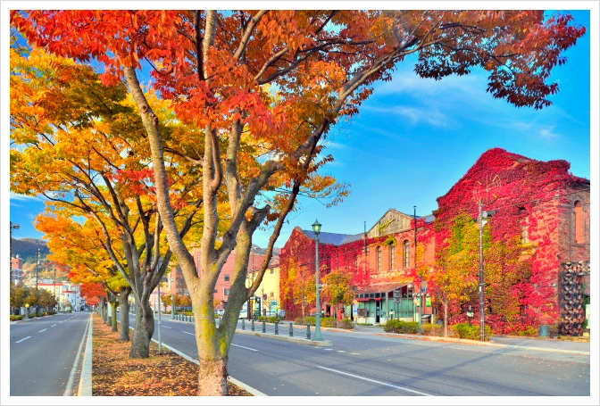 SE-ee8413f5-9f7d-4b0d-b319-e44a9deeac21.jpg?type=w1