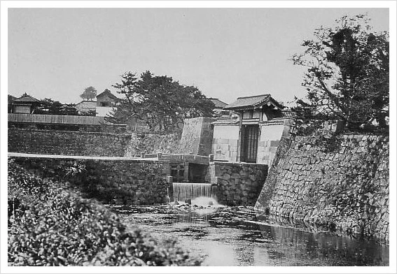 %ED%86%A0%EB%9D%BC%EB%85%B8%EB%AC%B8.jpg?type=w2