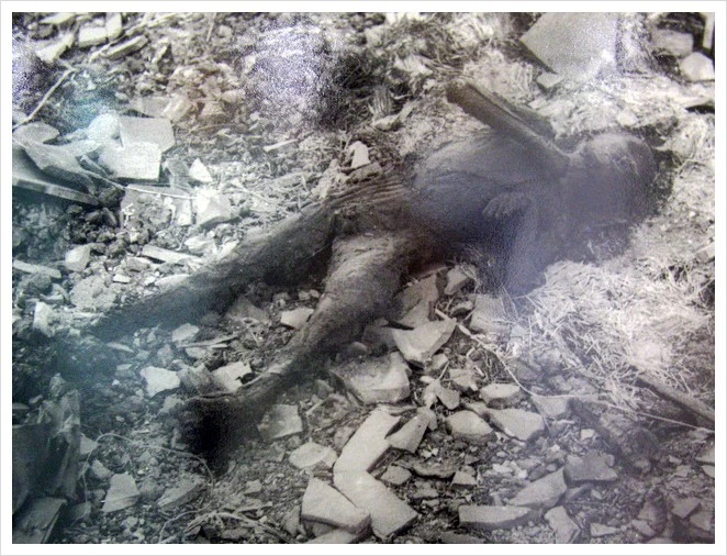 img_9360_2.jpg?type=w1