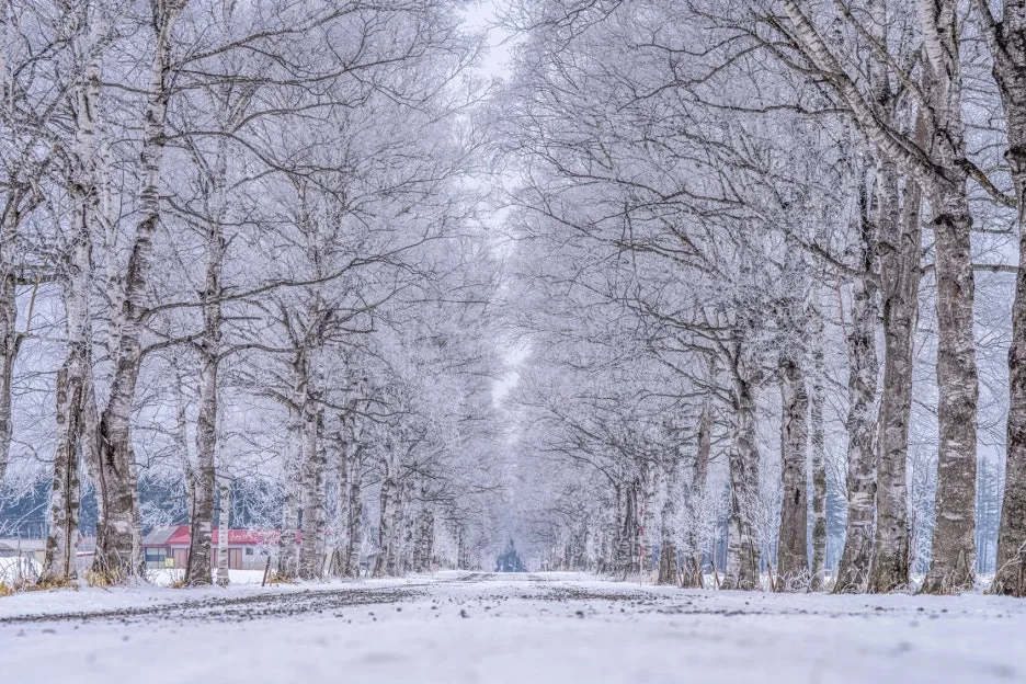 thumbnail_20240229_143325.jpg?type=w1