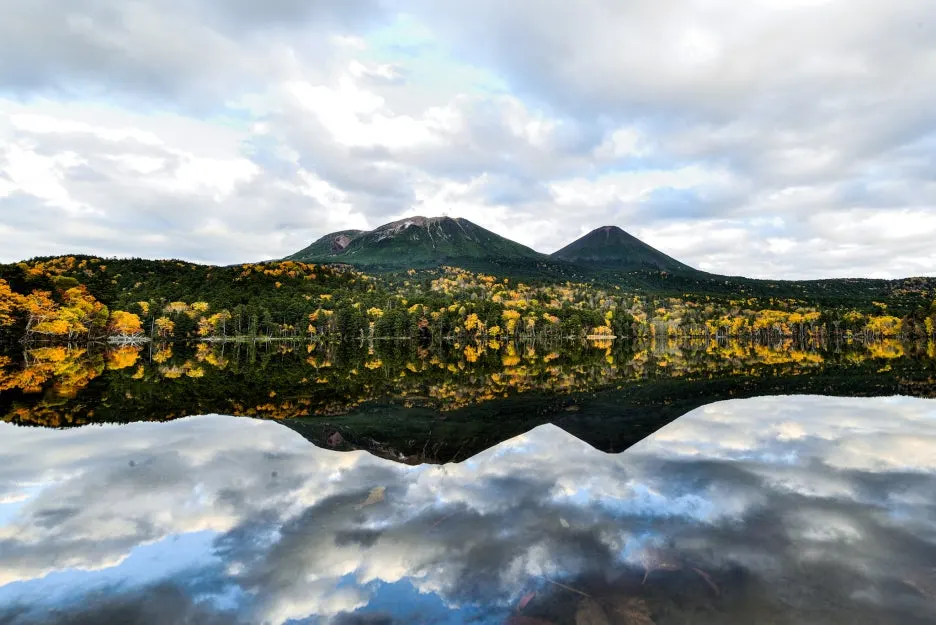 thumbnail_20240229_115817.jpg?type=w1