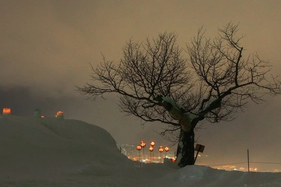 OTA201902141811-973x649.jpg?type=w1