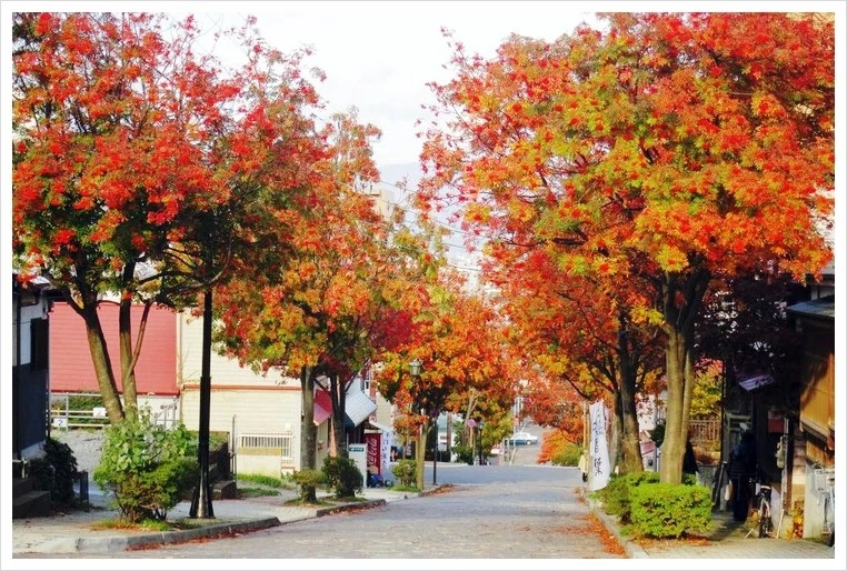 %EB%8B%A4%EC%9D%B4%EC%82%B0%EC%9E%90%EC%B9%B41.jpg?type=w1