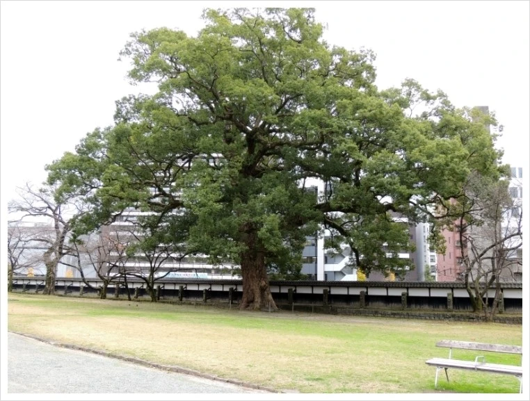 DSCN6215.JPG?type=w1