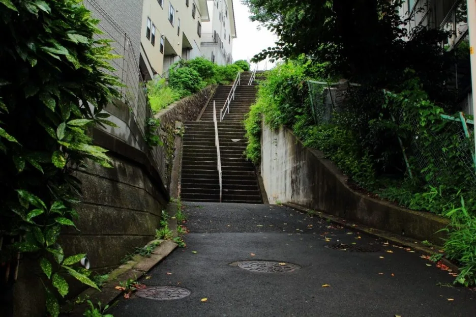 IMG_1103_1-1024x682.jpg?type=w1