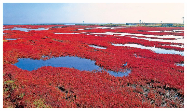 %EB%85%B8%ED%86%A0%EB%A1%9C.png?type=w1