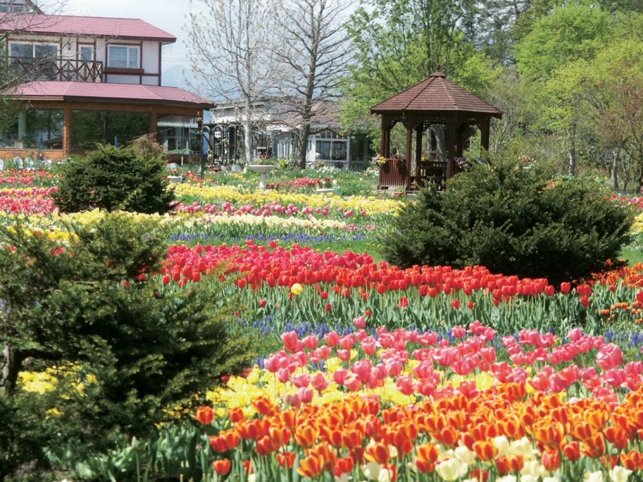 thumbnail_20240229_160737.jpg?type=w1