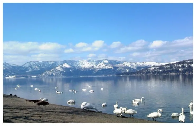 f0031080_17221140.jpg?type=w2