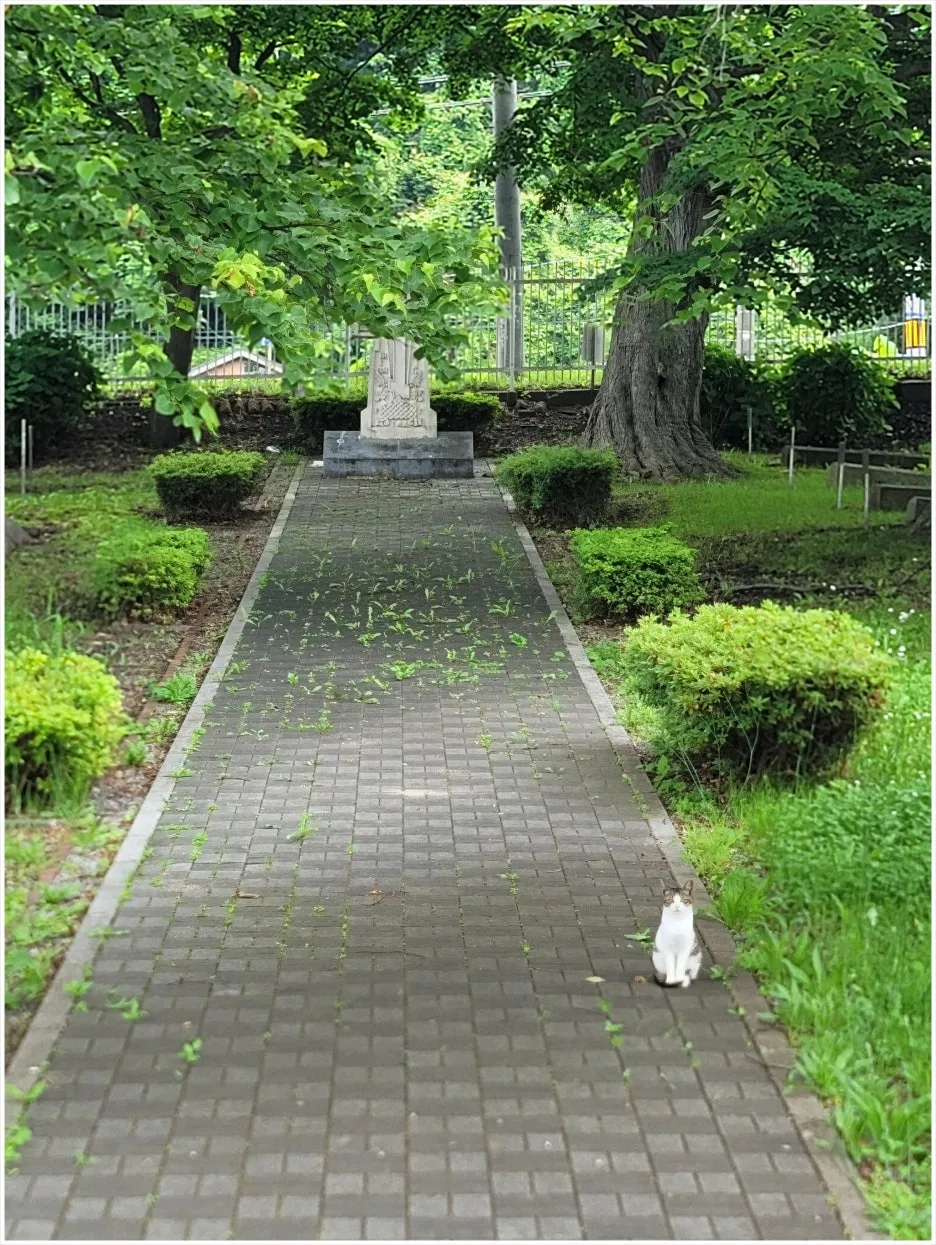 SE-681e86eb-8283-465d-9e8b-29213664428d.jpg?type=w1