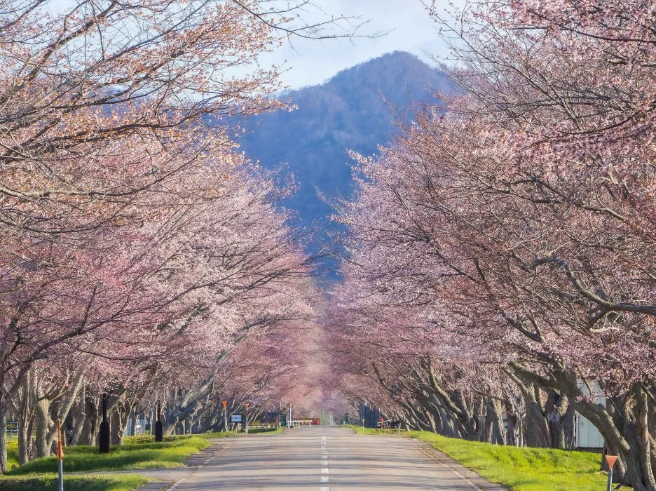 thumbnail_20240227_164059.jpg?type=w1