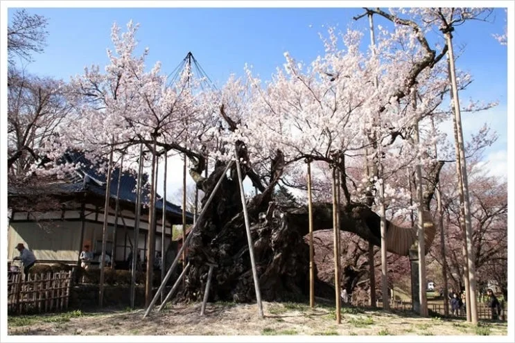 05_jindai.jpg?type=w2