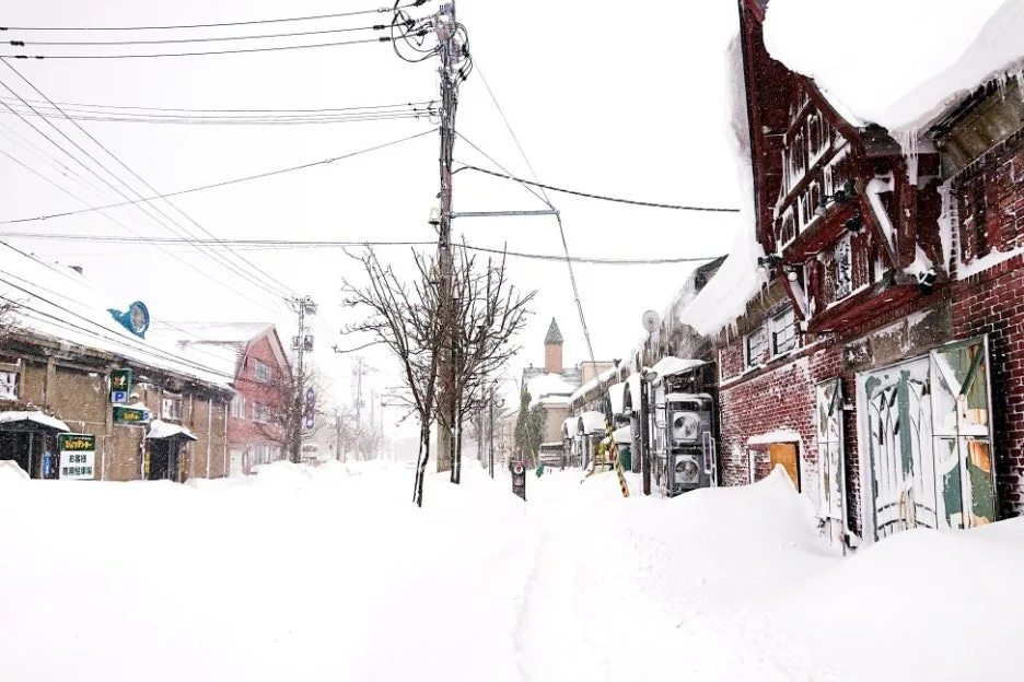 OTA202101191211-973x649.jpg?type=w1