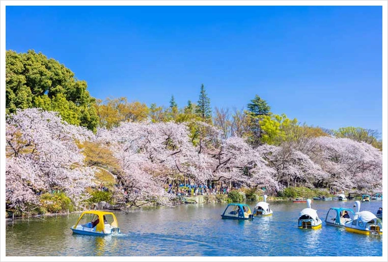 untitled33.png?type=w1