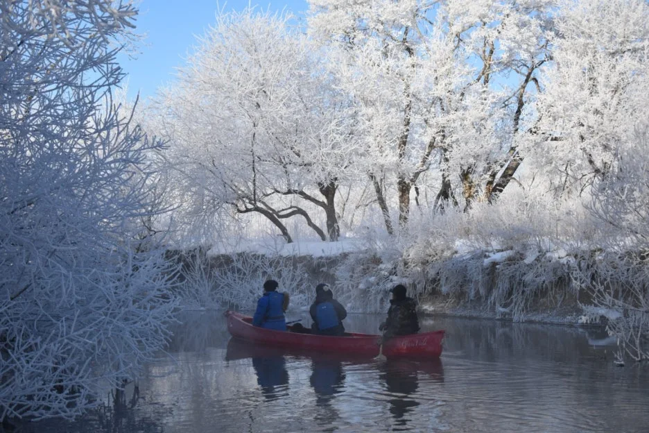 %EC%95%84%EB%A0%88%ED%82%A4%EB%82%98%EC%9D%B4%EA%B0%95.jpg?type=w1