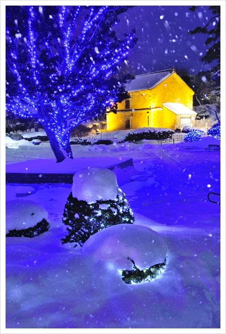 %EA%B2%A8%EC%9A%B8_%ED%95%98%EC%BD%94%EB%8B%A4%ED%85%8C4.jpg?type=w1