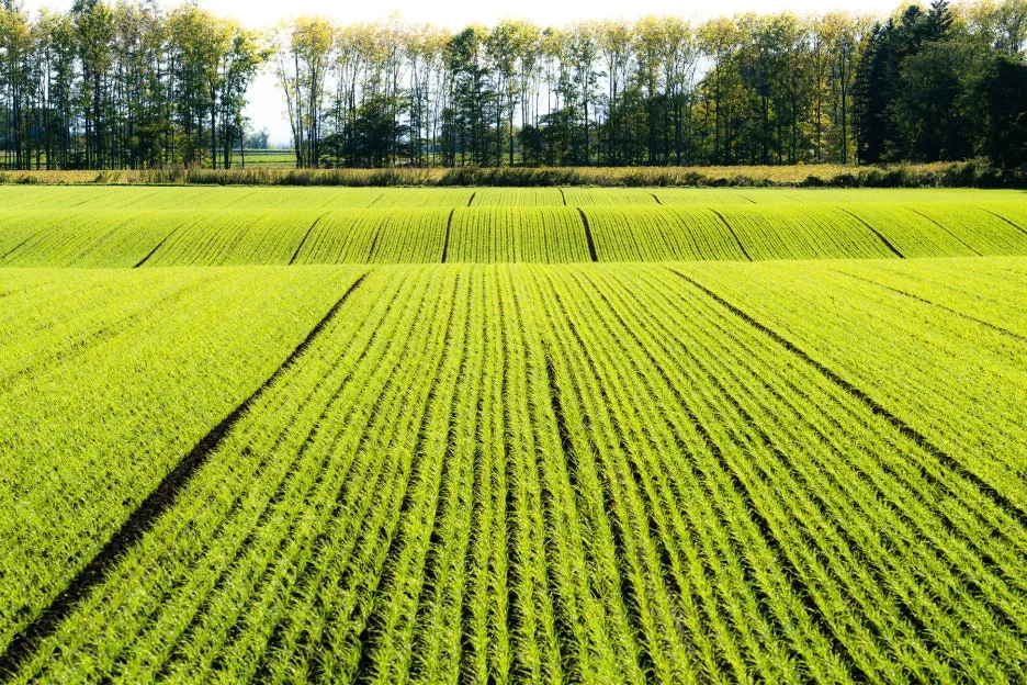 thumbnail_20240227_171644.jpg?type=w1