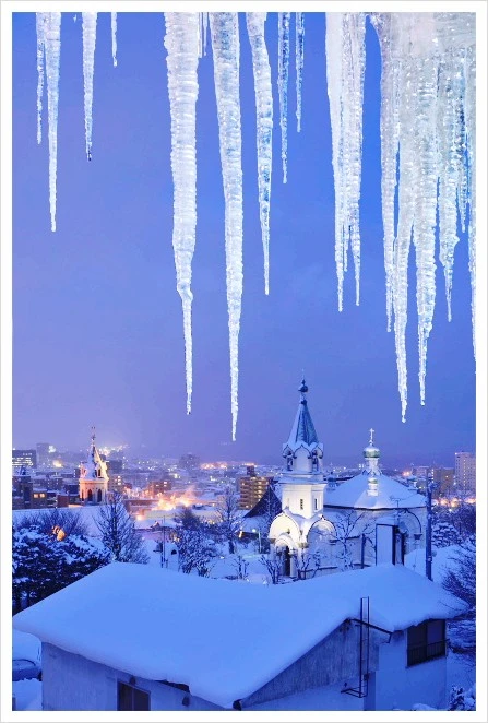 %EA%B2%A8%EC%9A%B8_%ED%95%98%EC%BD%94%EB%8B%A4%ED%85%8C2.jpg?type=w1