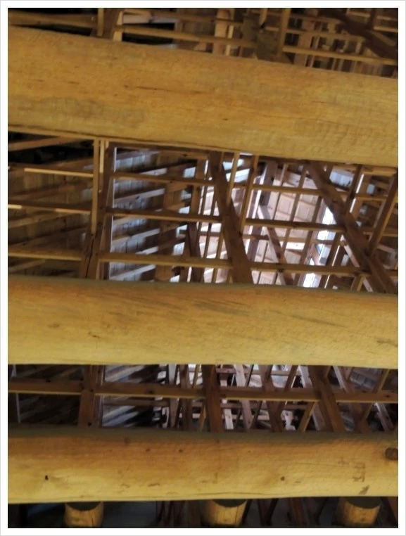 DSCN6170.JPG?type=w1