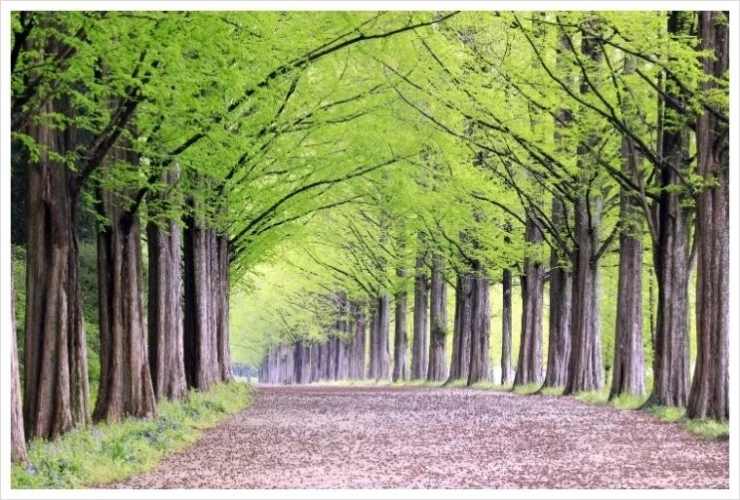 KakaoTalk_20190426_134715943.jpg?type=w1