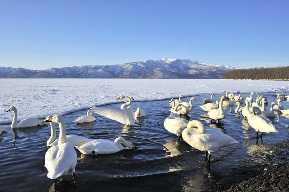 %EA%B5%BF%EC%82%AC%EB%A1%9C%ED%98%B8.jpg?type=w1