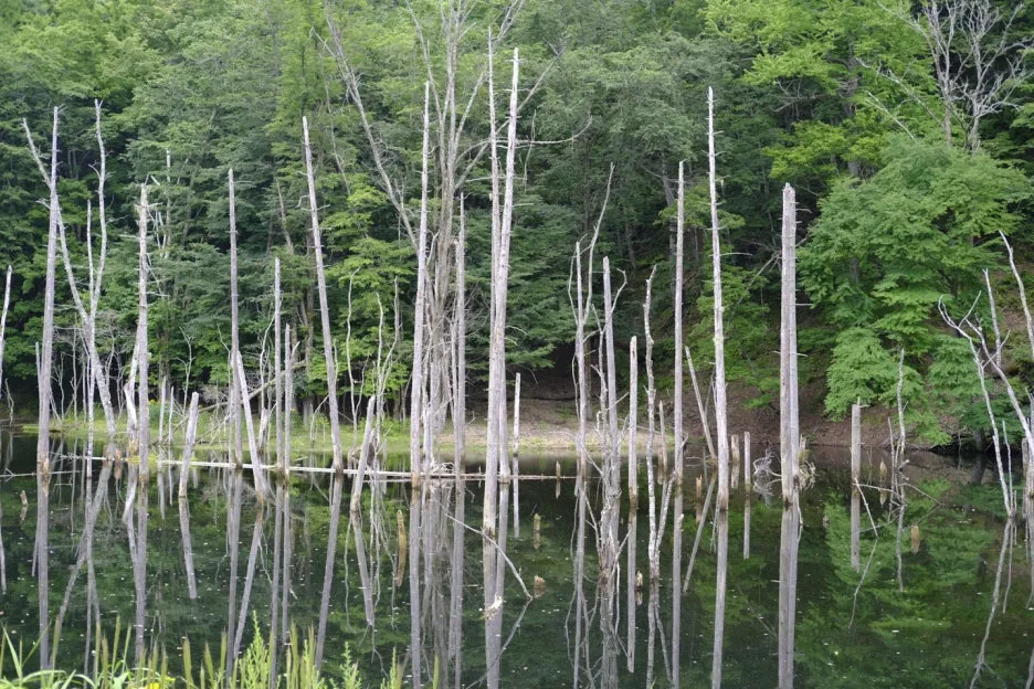 thumbnail_20240229_155646.jpg?type=w1