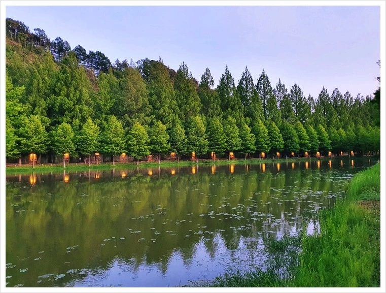 KakaoTalk_20220605_173821676.jpg?type=w1