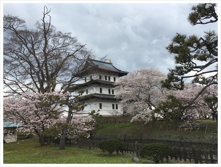 KakaoTalk_20210428_162212330_14.jpg?type=w1