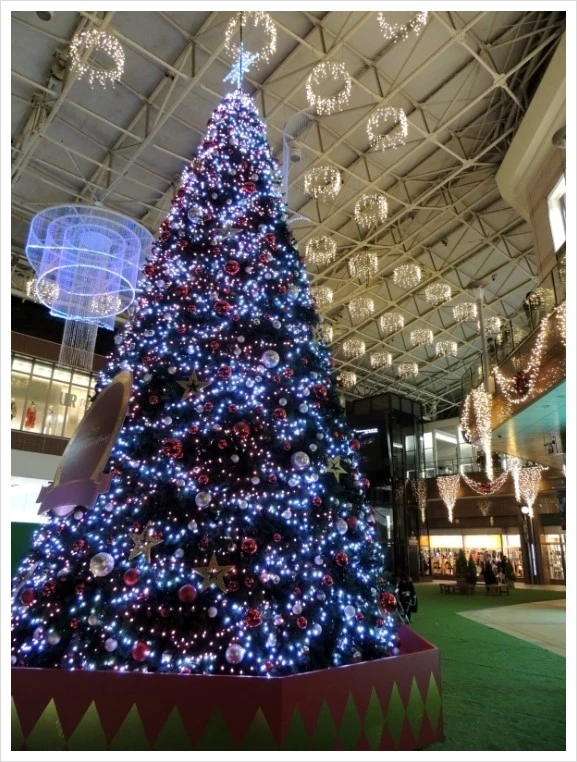 DSCN6556.JPG?type=w1