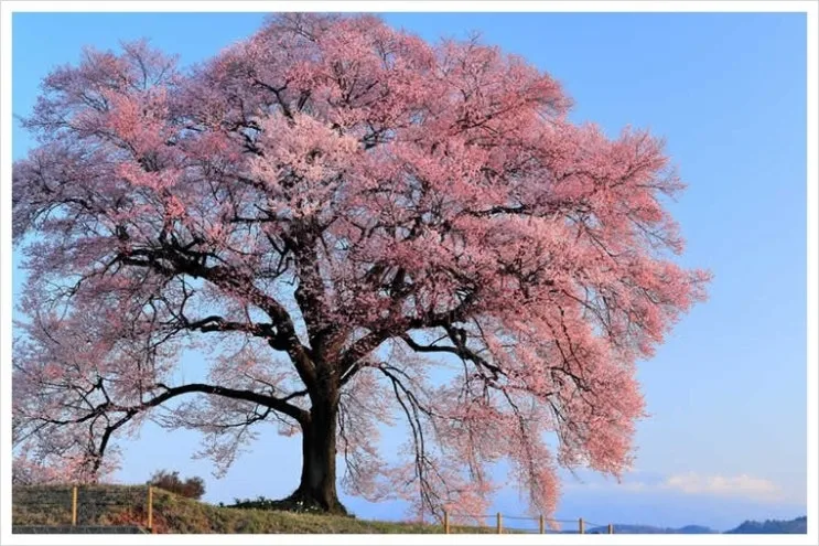 06_wanizuka.jpg?type=w2