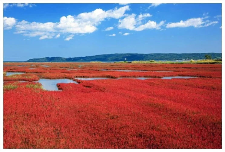 aflo_ZKUA002718.jpg?type=w2