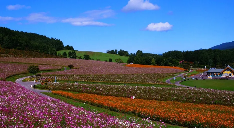 img-01-mv.jpg?type=w1