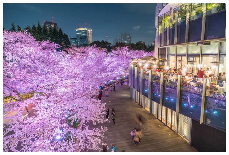 untitled57.png?type=w1