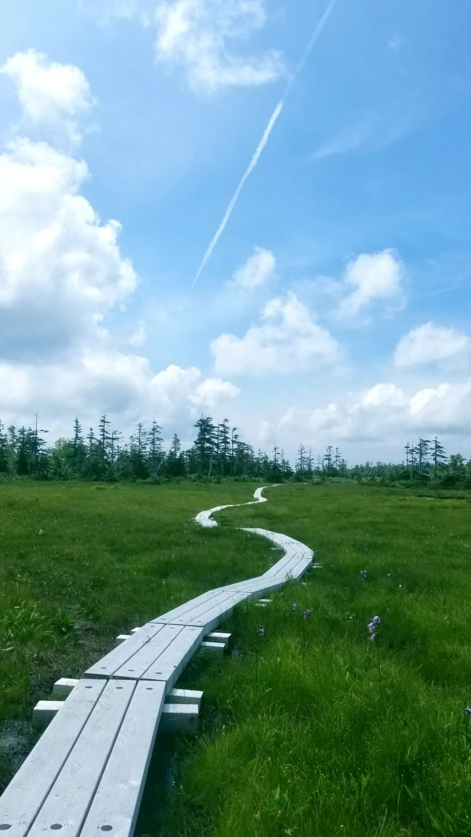 thumbnail_20240229_125016.jpg?type=w1