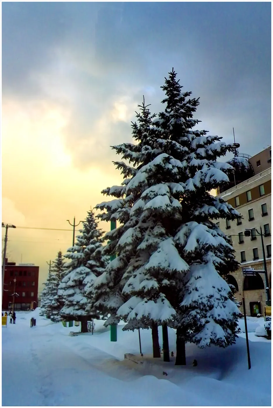 SE-fdb6d49b-7550-409c-9ca1-8ada2e981218.jpg?type=w1