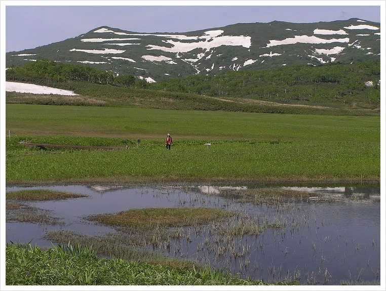 1280px-%E5%8D%97%E6%9A%91%E5%AF%92%E5%B2%B3_P7020151.jpg?type=w1