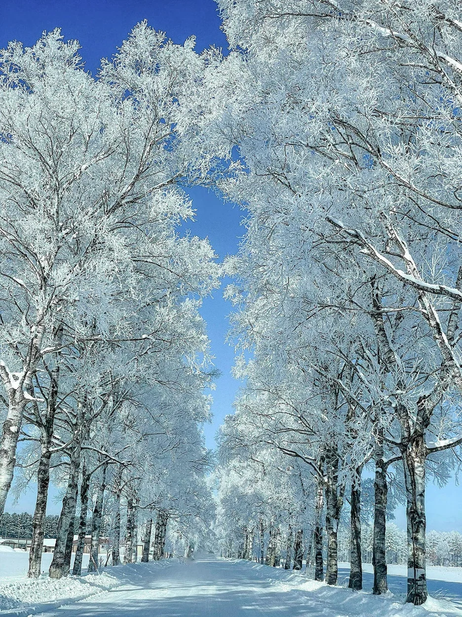 thumbnail_20240229_154008.jpg?type=w1